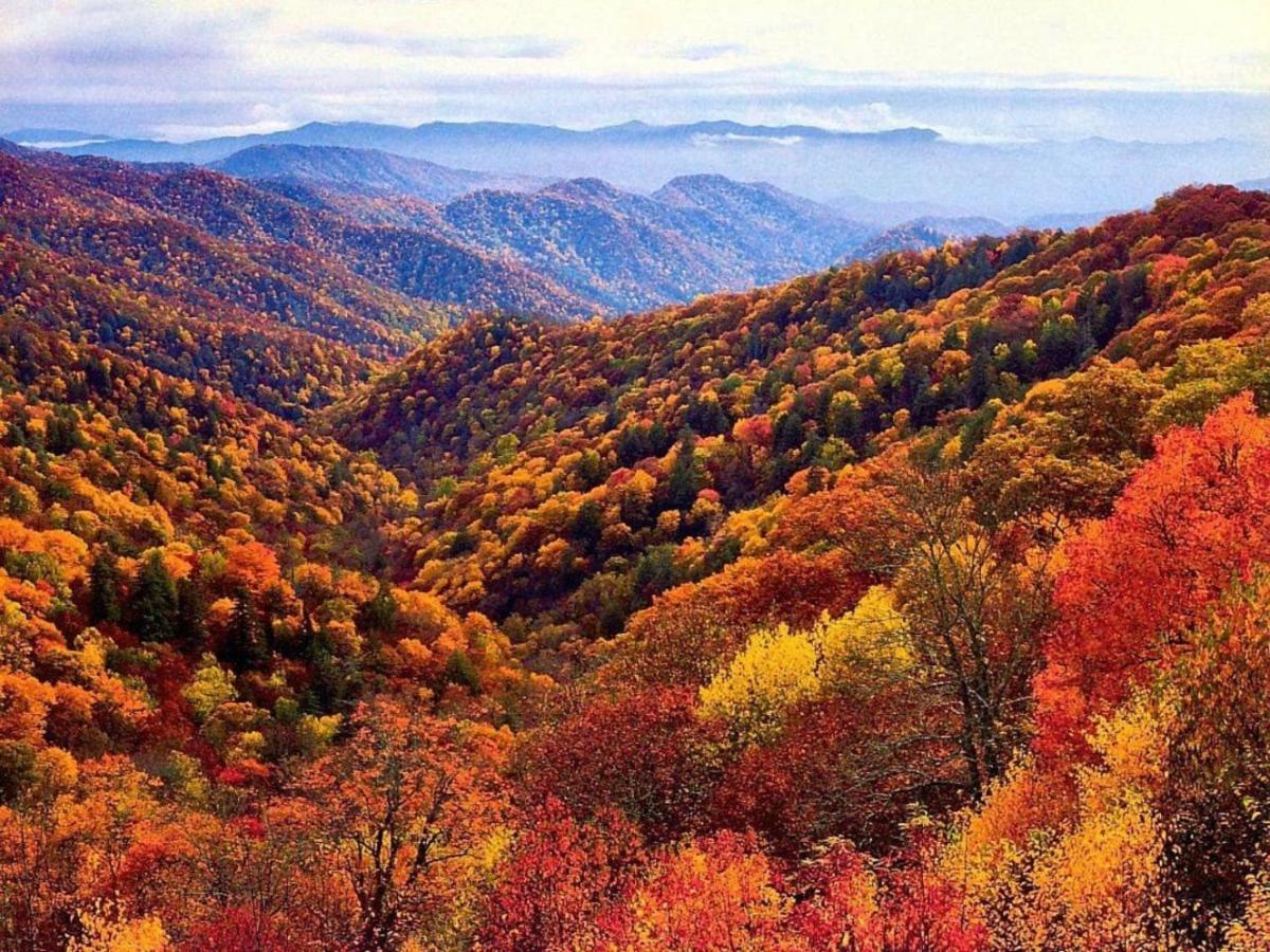 Wow Views!!-Mountain Escape-Outdoor Pool-Close To Downtown-Wifi-Cable-Private Balcony Gatlinburg Eksteriør billede